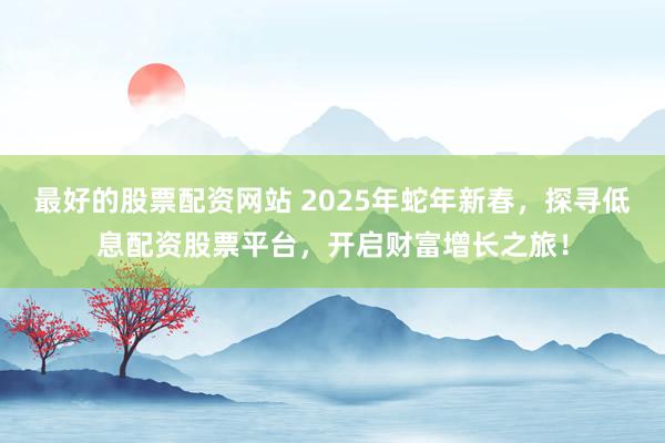最好的股票配资网站 2025年蛇年新春，探寻低息配资股票平台，开启财富增长之旅！