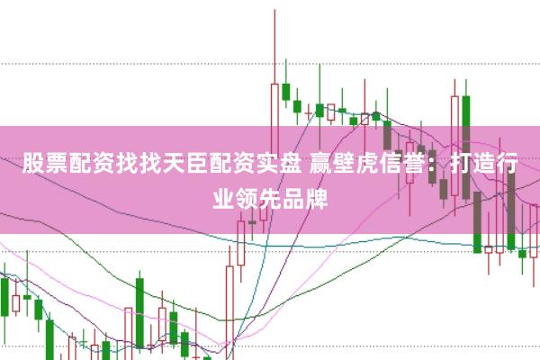 股票配资找找天臣配资实盘 赢壁虎信誉：打造行业领先品牌