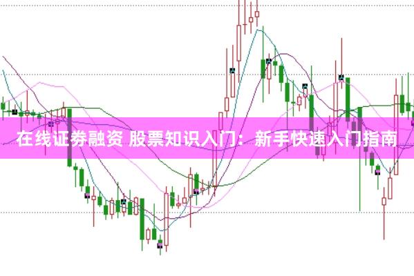 在线证劵融资 股票知识入门：新手快速入门指南