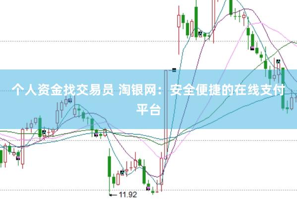 个人资金找交易员 淘银网：安全便捷的在线支付平台