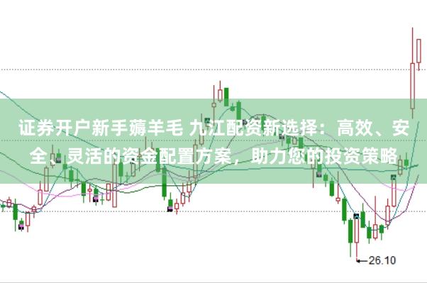 证券开户新手薅羊毛 九江配资新选择：高效、安全、灵活的资金配置方案，助力您的投资策略