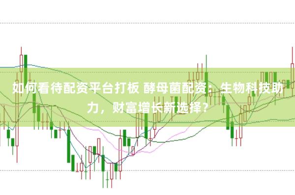 如何看待配资平台打板 酵母菌配资：生物科技助力，财富增长新选择？