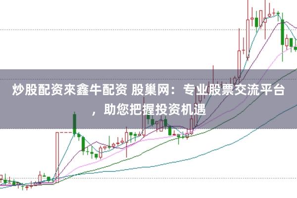 炒股配资來鑫牛配资 股巢网：专业股票交流平台，助您把握投资机遇