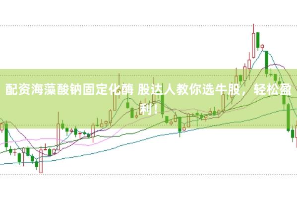 配资海藻酸钠固定化酶 股达人教你选牛股，轻松盈利！
