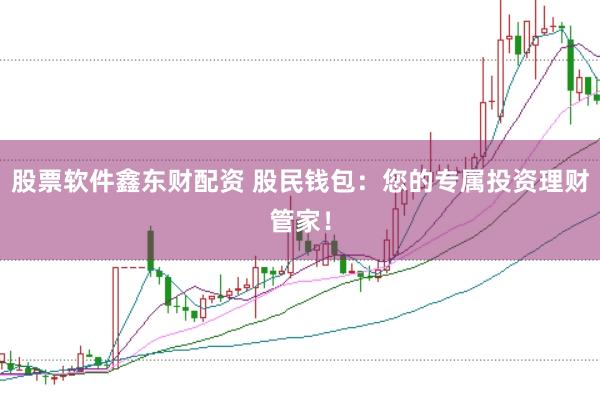 股票软件鑫东财配资 股民钱包：您的专属投资理财管家！