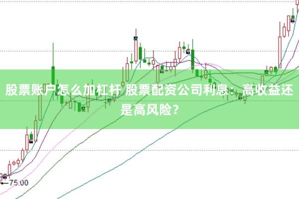 股票账户怎么加杠杆 股票配资公司利息：高收益还是高风险？