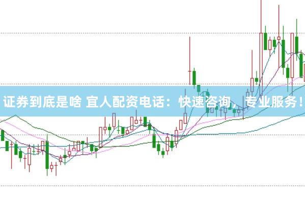 证券到底是啥 宜人配资电话：快速咨询，专业服务！