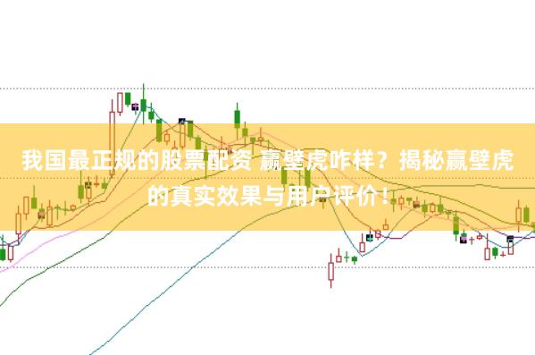 我国最正规的股票配资 赢壁虎咋样？揭秘赢壁虎的真实效果与用户评价！