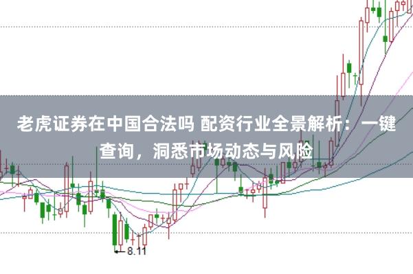 老虎证券在中国合法吗 配资行业全景解析：一键查询，洞悉市场动态与风险
