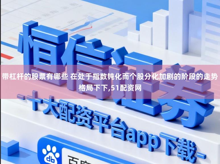 带杠杆的股票有哪些 在处于指数钝化而个股分化加剧的阶段的走势格局下下，51配资网